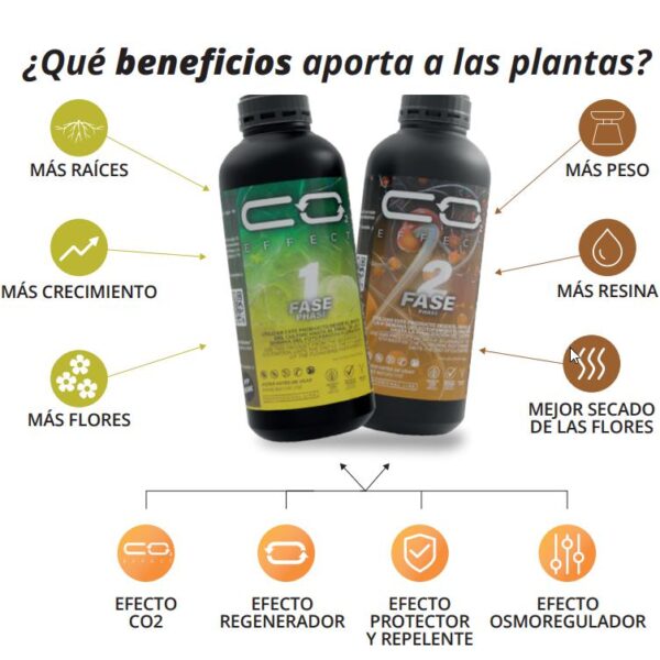 BIOESTIMULANTE CO2 EFFECT FASE 1 1L